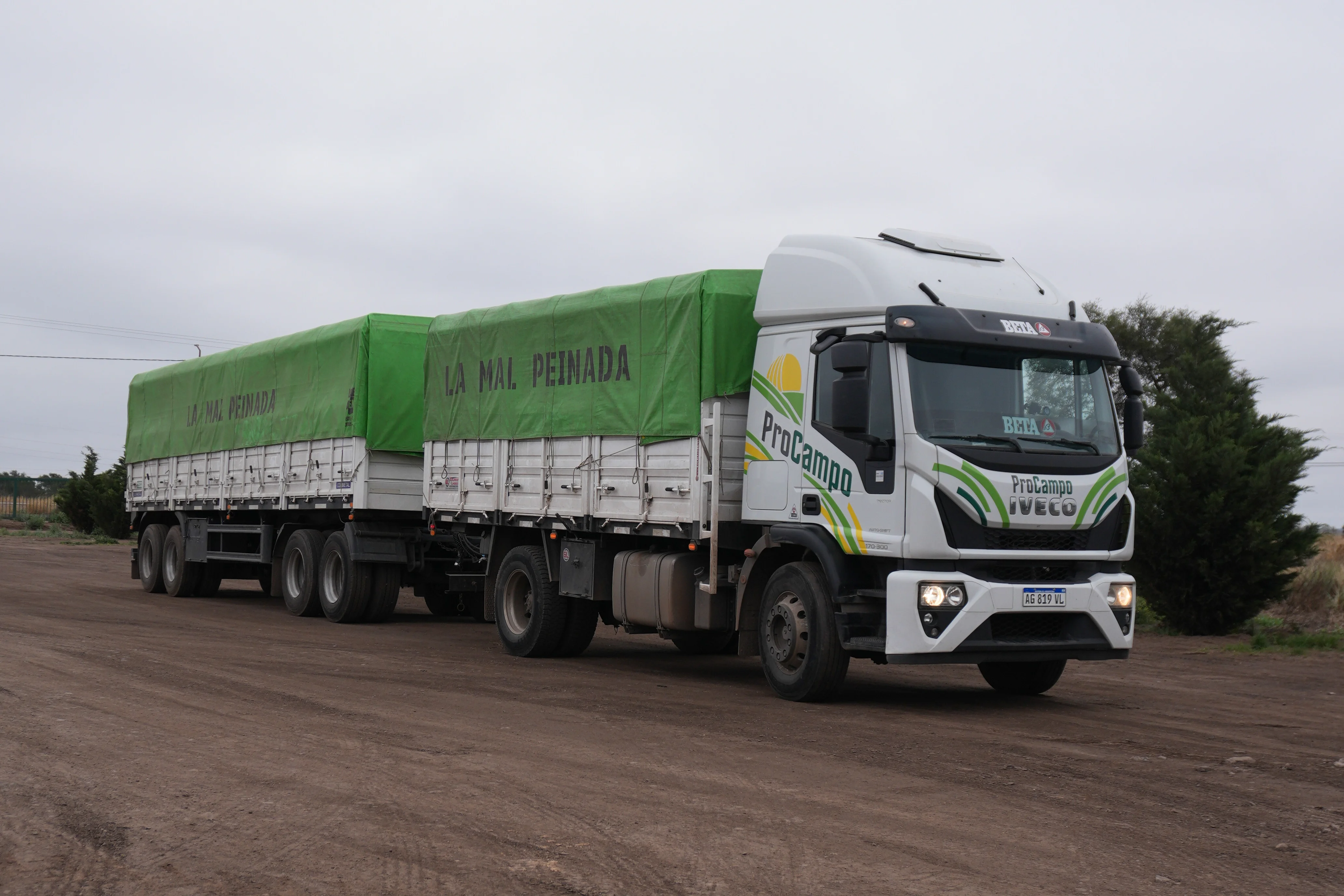 Campo argentino con animales