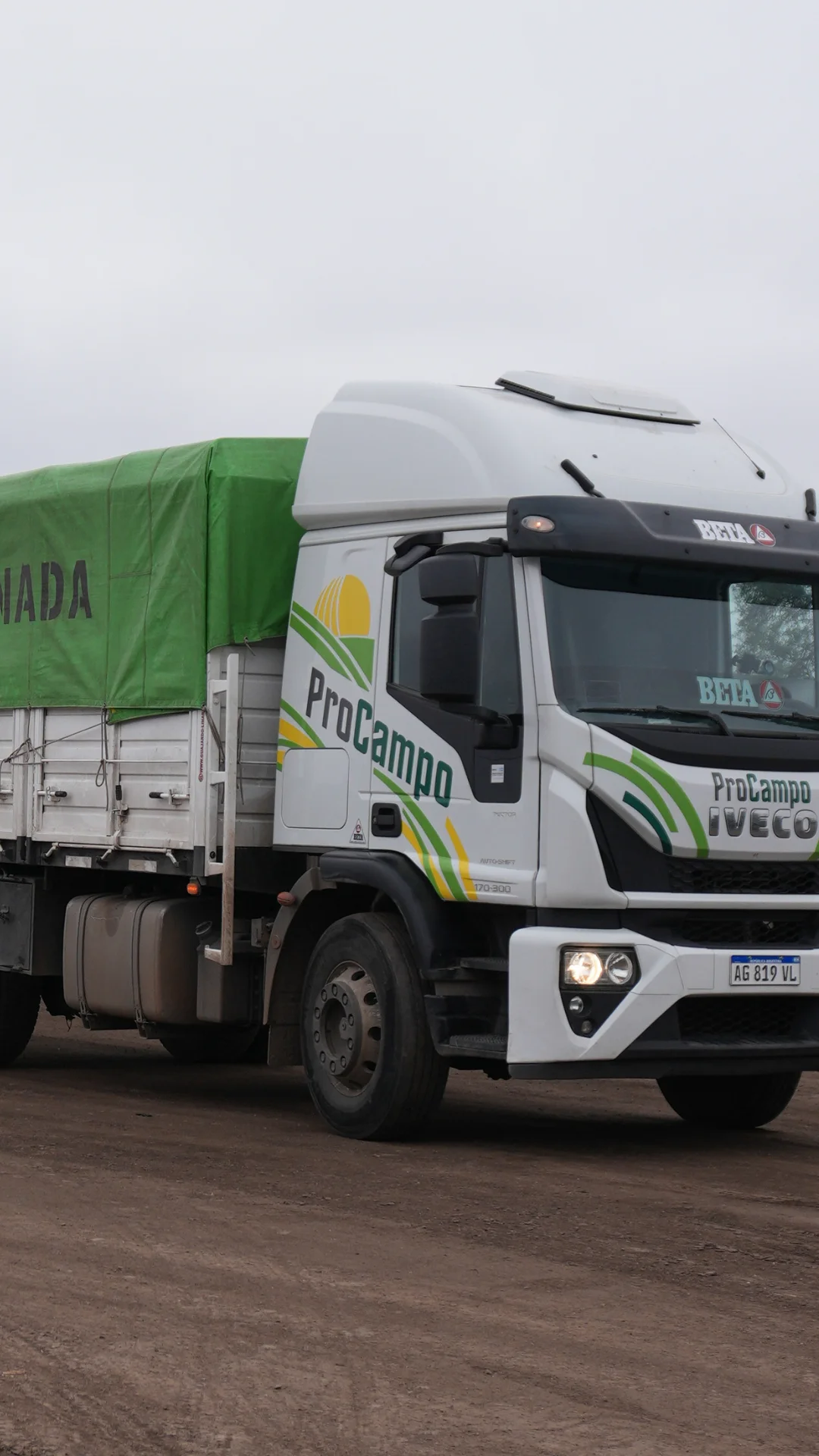Campo argentino con animales